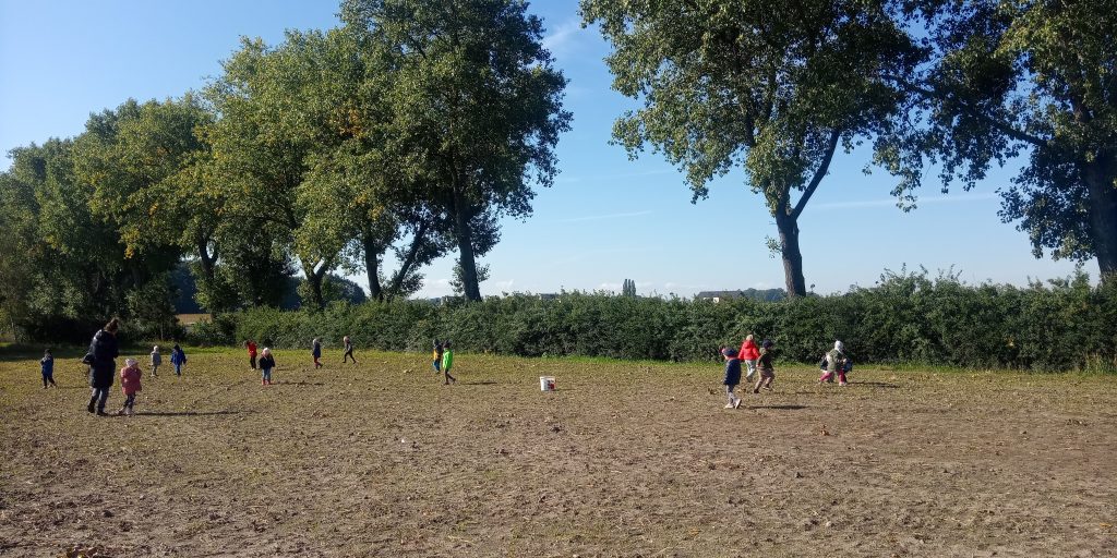 Zdjęcie przedstawia grupę dzieci chodzących po polu w poszukiwaniu ziemniaków.