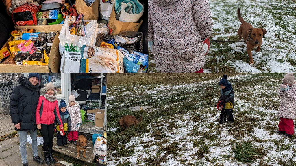 kolaż zdjęć: rodzina - mama, tata, chłopiec i dziewczynka stojący uśmiechnięci przed przytuliskiem dla zwierząt; piesek wyprowadzany przez dzieci na spacer - na trawie leży śnieg; różne dary dla psów i kotów w bagażniku samochodu