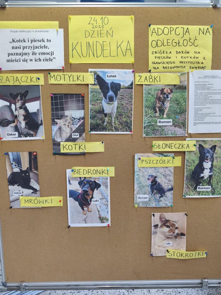 Na obrazku jest tablica z napisem Dzień Kundelka oraz zdjęciami psów i kotów, ich imionami i nazwą grupy przedszkolnej, której przyporządkowany jest pies lub kot do adopcji na odleglość